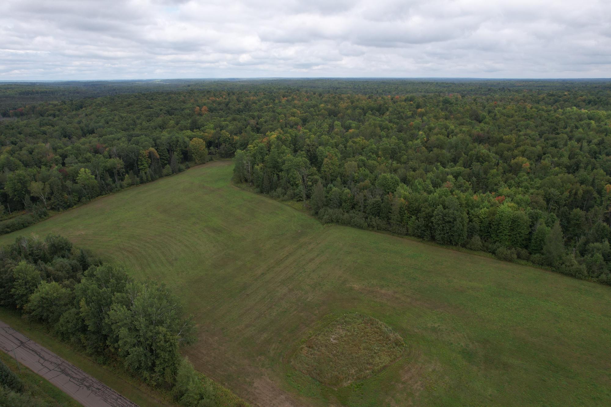 40-ac On Wagner Vogt Road Butternut, WI 54514 - Photo 6 of 25 Gallery Image 6