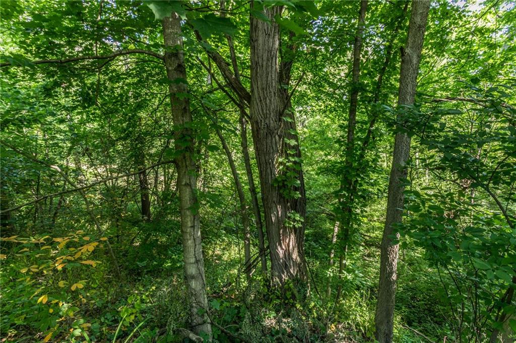 11590 Ditch Road Carmel, IN 46032 - Photo 54 of 60 Gallery Image 54