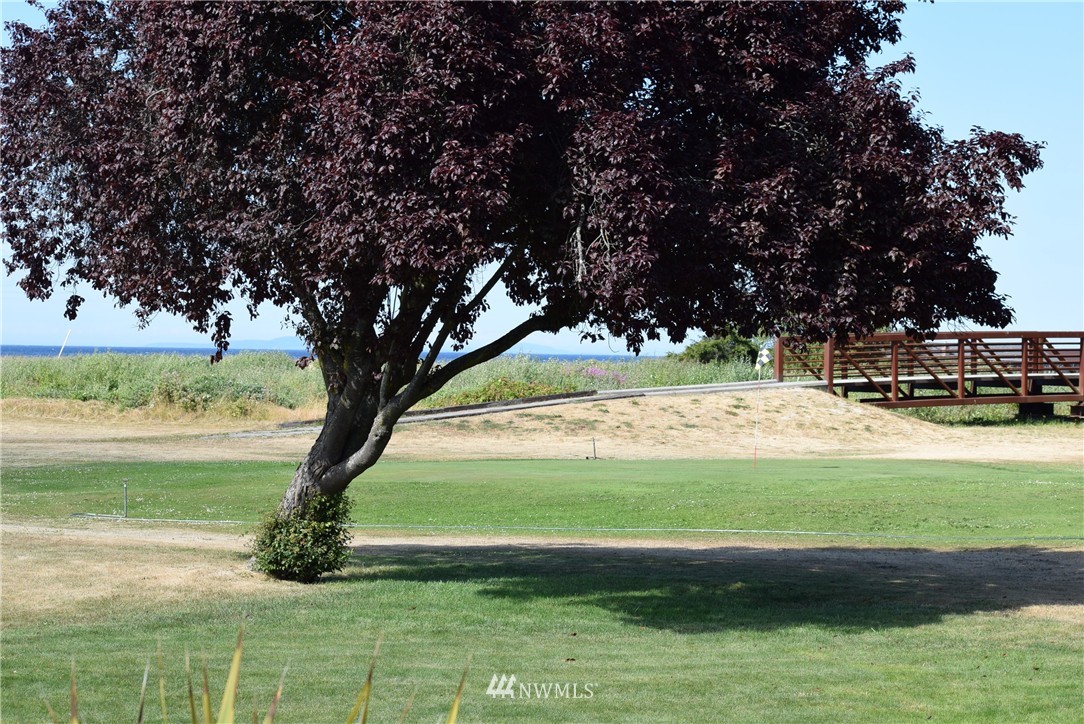 302 North Ridge View Drive Port Angeles, WA 98362 - Photo 19 of 25 Gallery Image 19