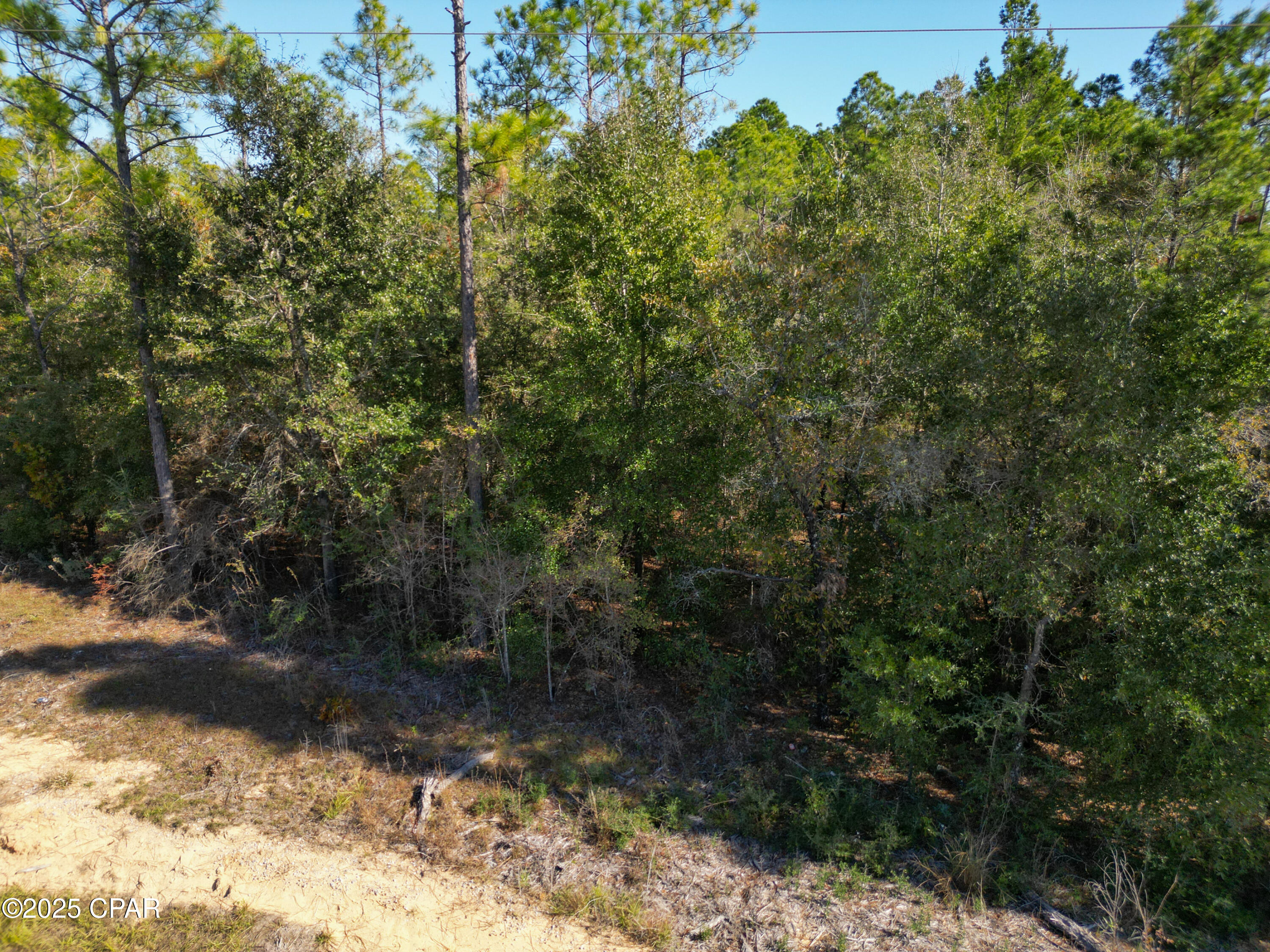 3533 Pine Log Road Chipley, FL 32428 - Photo 4 of 13