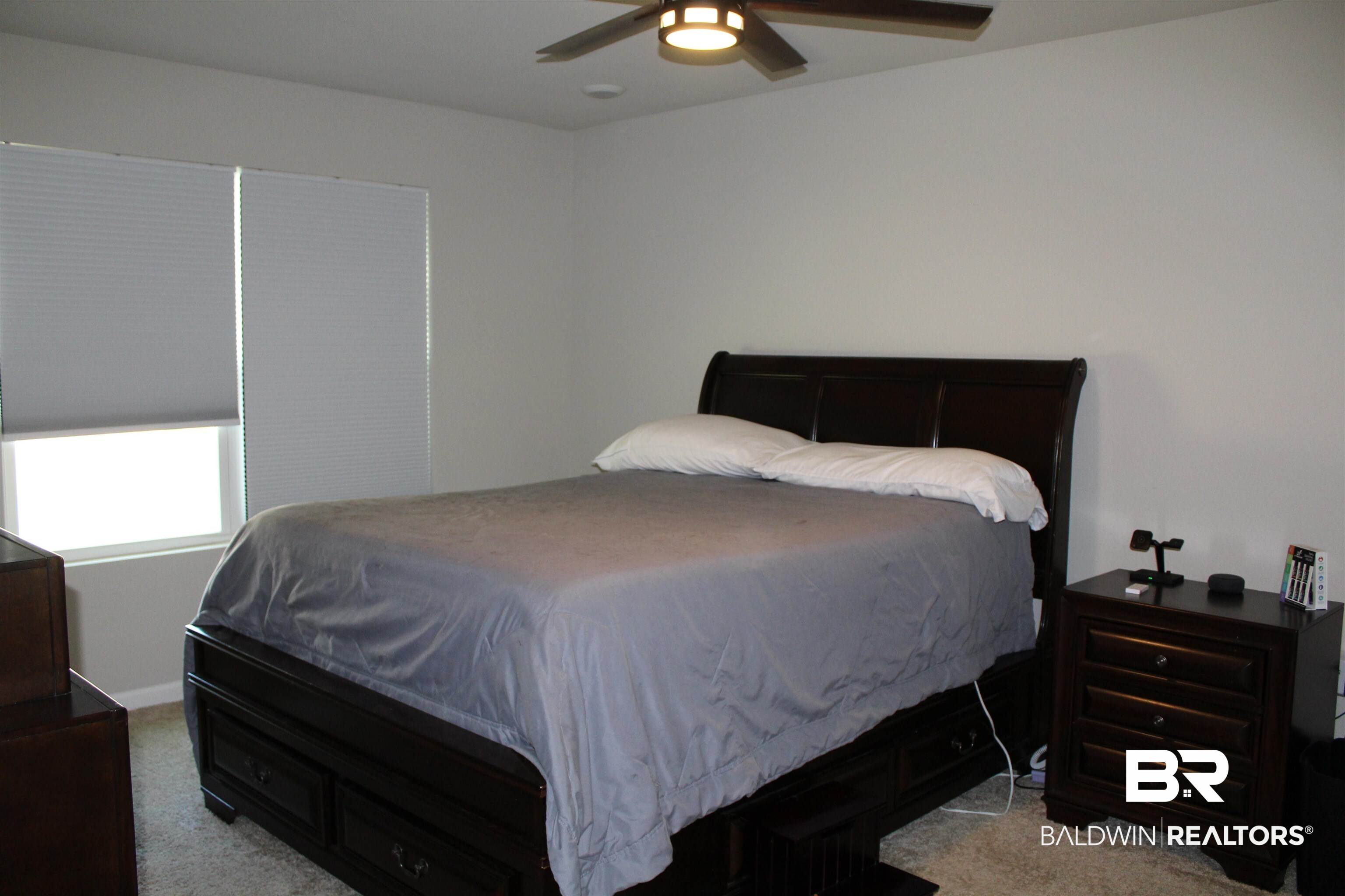 13844 Logan Place Foley, AL 36535 - Photo 10 of 20 Primary BR with New Ceili