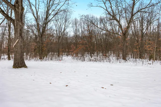 $320,000 | 80226 40th Street, Decatur, MI 49045