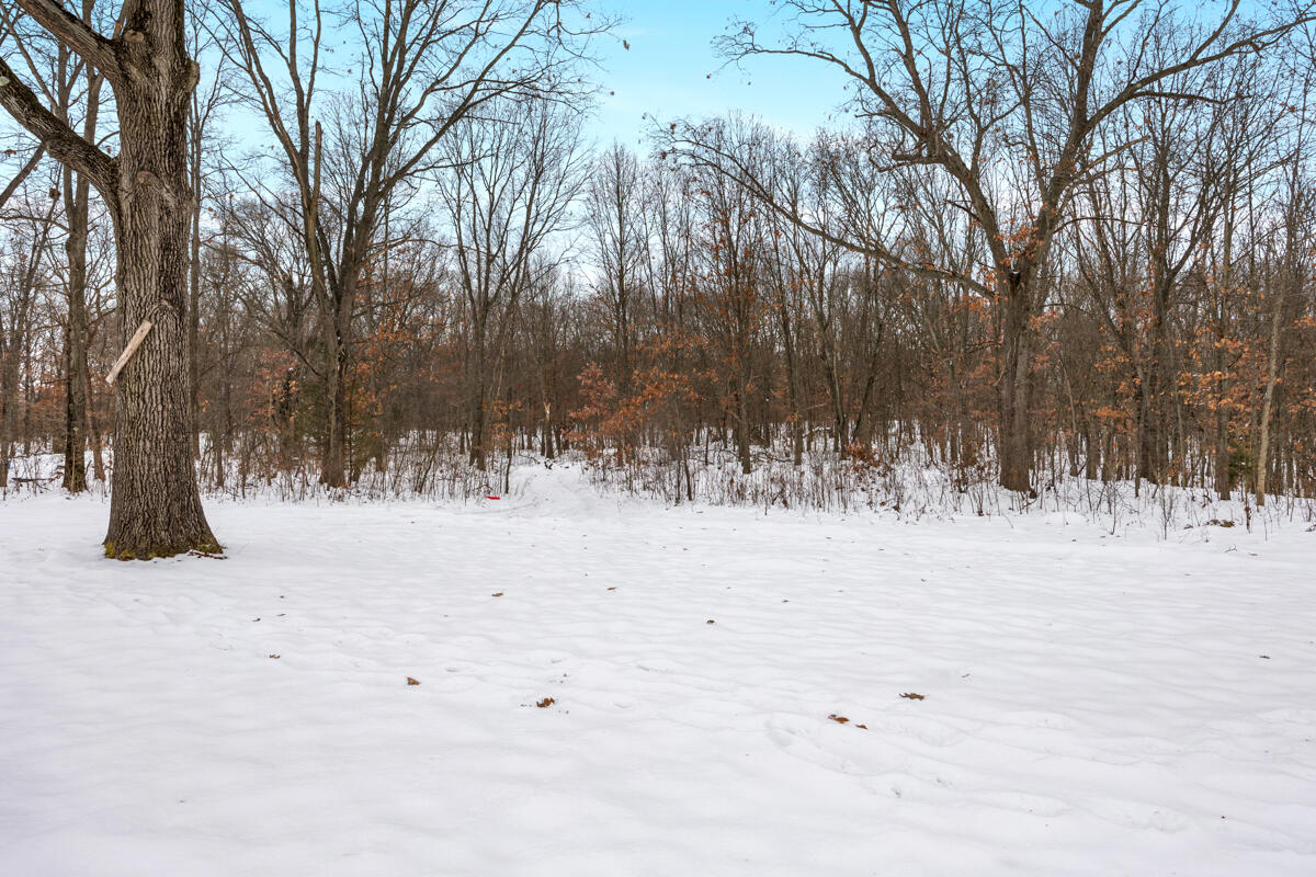 80226 40th Street Decatur, MI 49045 - Photo 5 of 32 12 Wooded Acres