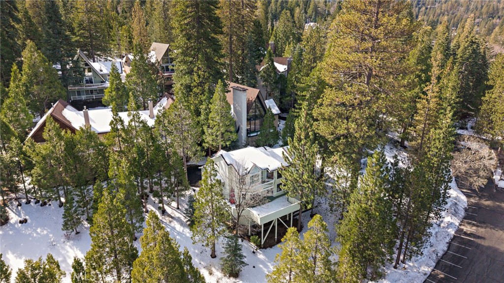 180 Grass Valley Road, Unit 20 Lake Arrowhead, CA 92352 - Photo 51 of 67
