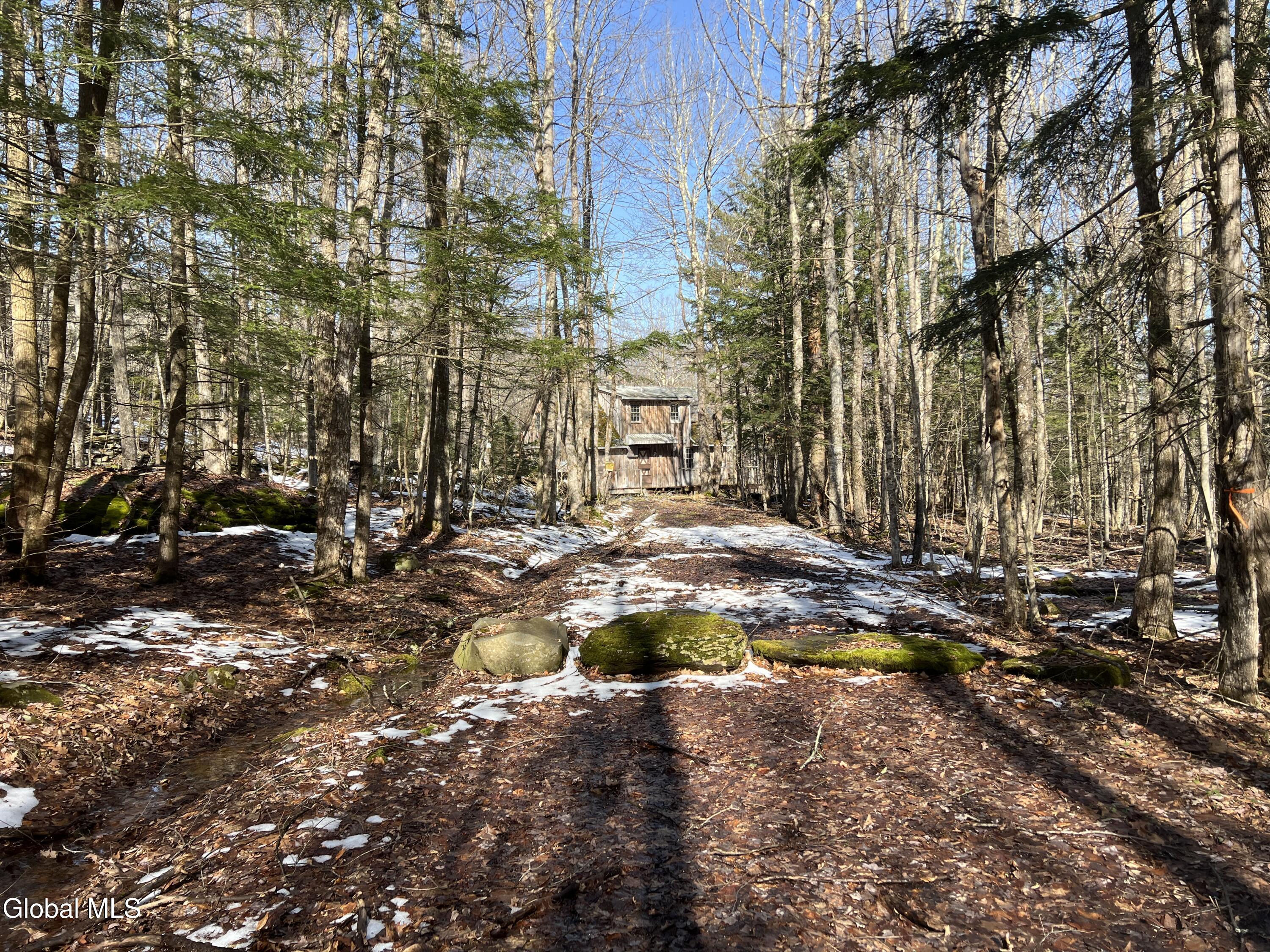 536 Bates Forest Road Conesville, NY 12076 - Photo 35 of 37 35) 72553-6a22a18dc9c98
