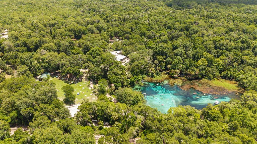 19639 Southwest 77th Loop Dunnellon, FL 34432 - Photo 59 of 59 a view of a lake with a tree