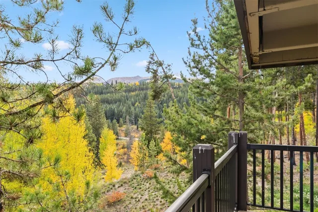a view of balcony with small garden