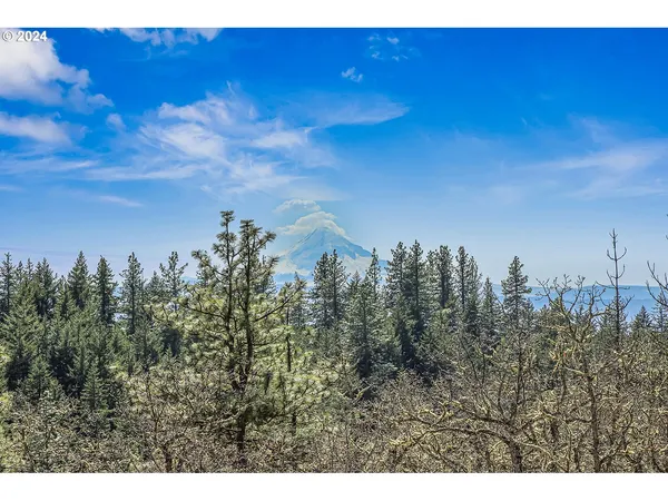 $249,000 | Secluded Way, Unit 3, Lyle, WA 98635