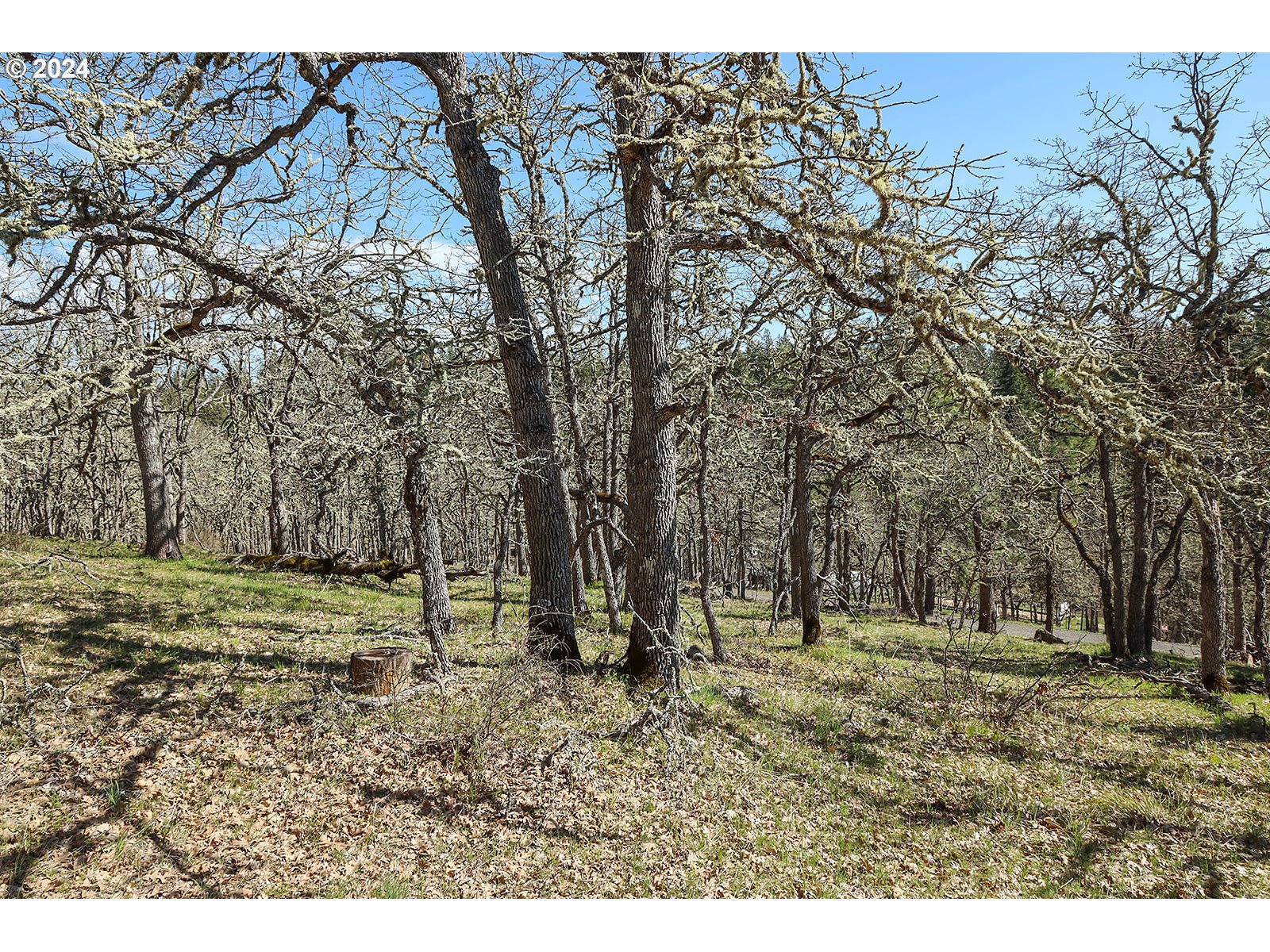 Secluded Way, Unit 3 Lyle, WA 98635 - Photo 12 of 16