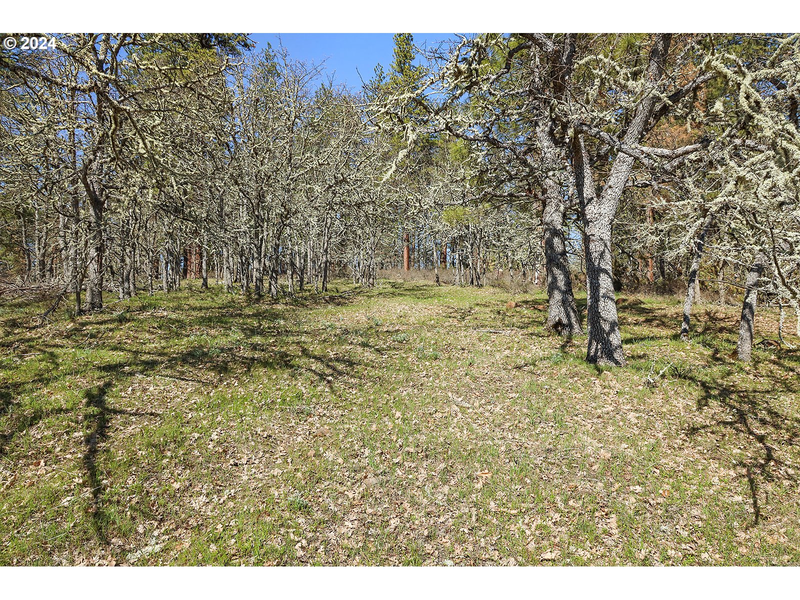 Secluded Way, Unit 3 Lyle, WA 98635 - Photo 13 of 16