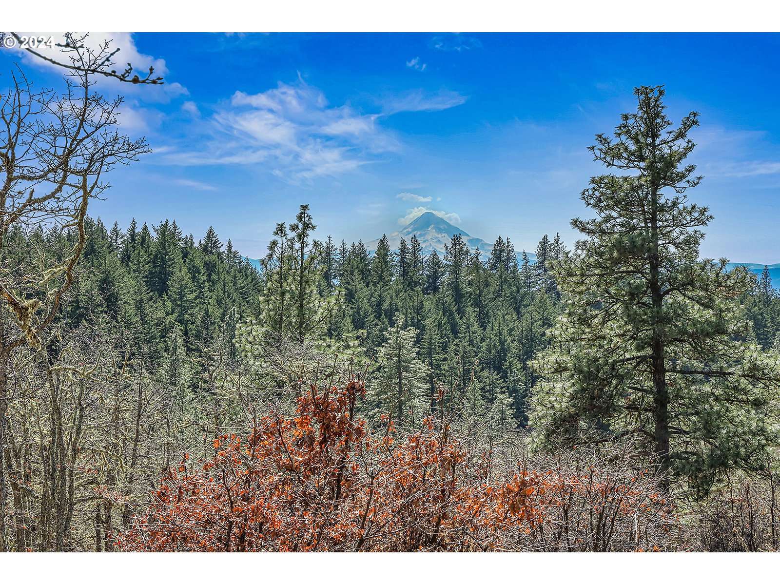 Secluded Way, Unit 3 Lyle, WA 98635 - Photo 14 of 16