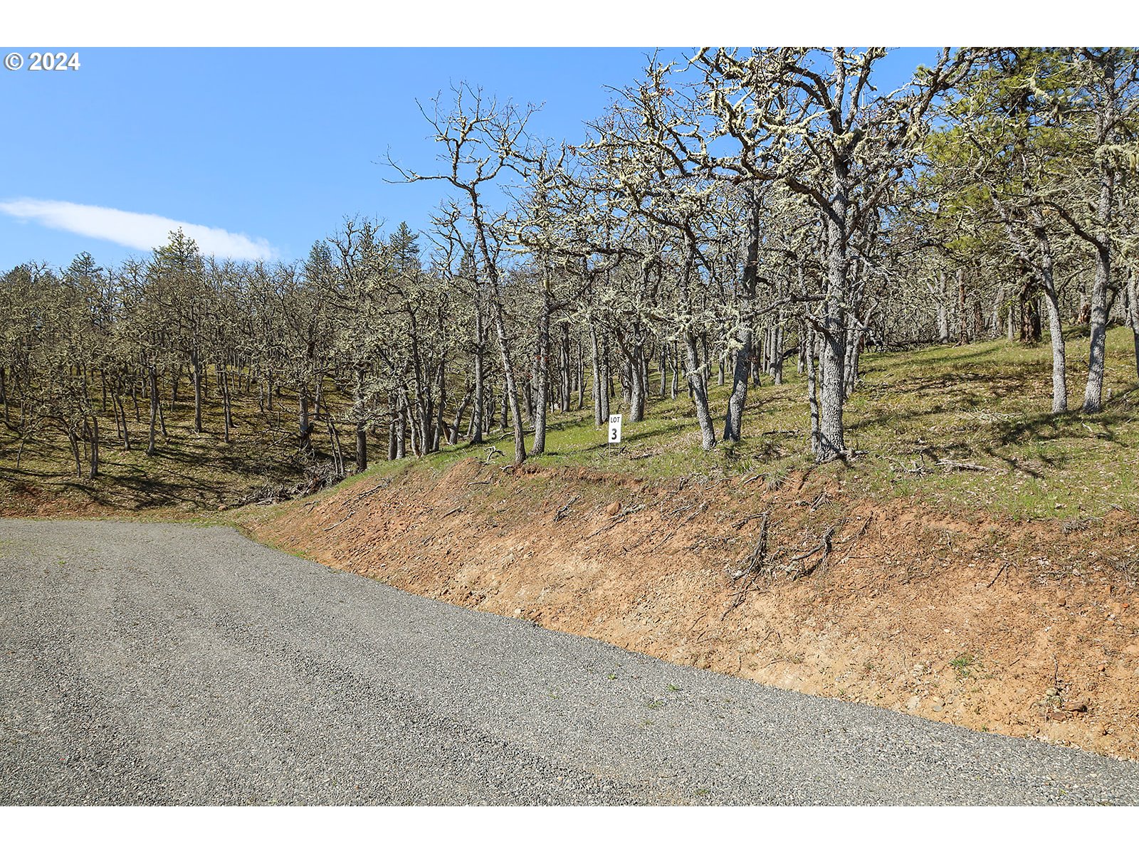 Secluded Way, Unit 3 Lyle, WA 98635 - Photo 15 of 16