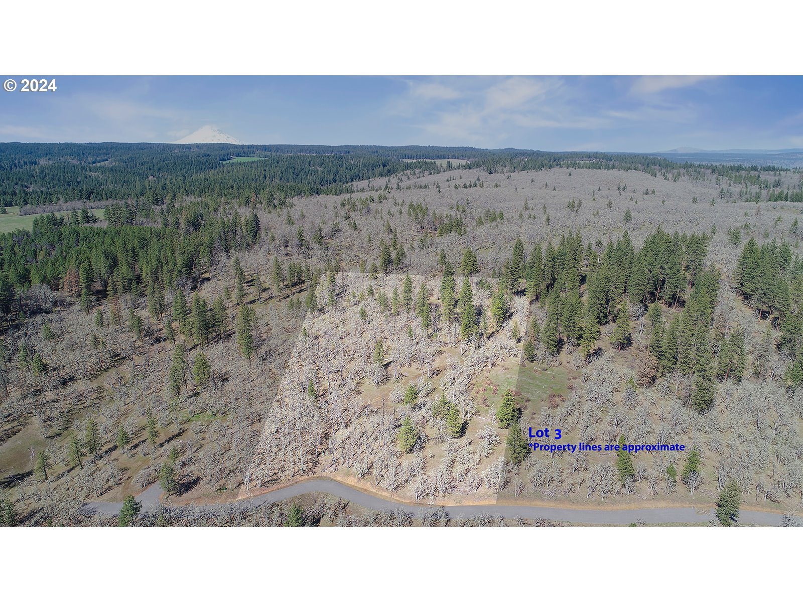 Secluded Way, Unit 3 Lyle, WA 98635 - Photo 3 of 16