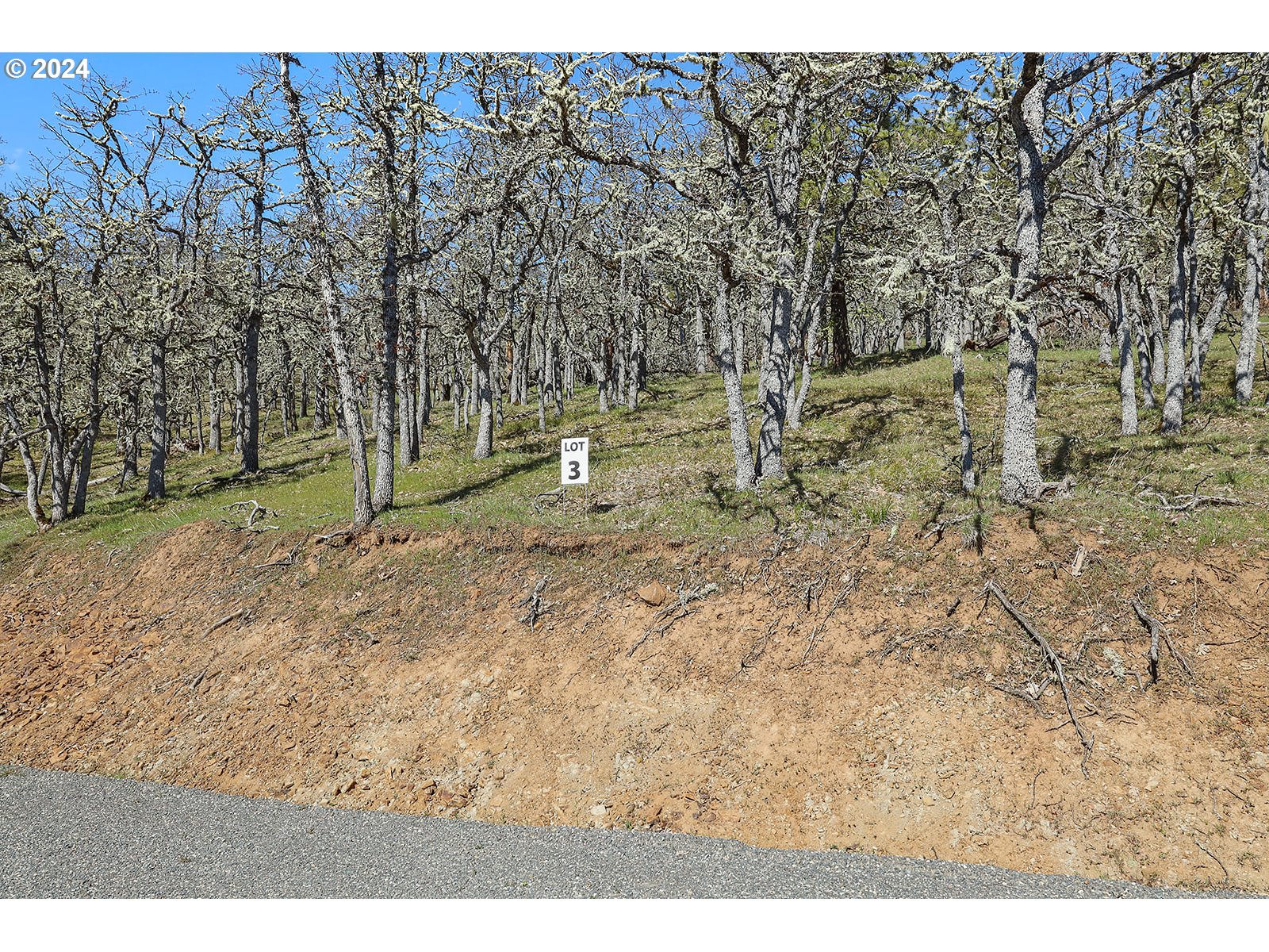 Secluded Way, Unit 3 Lyle, WA 98635 - Photo 7 of 16