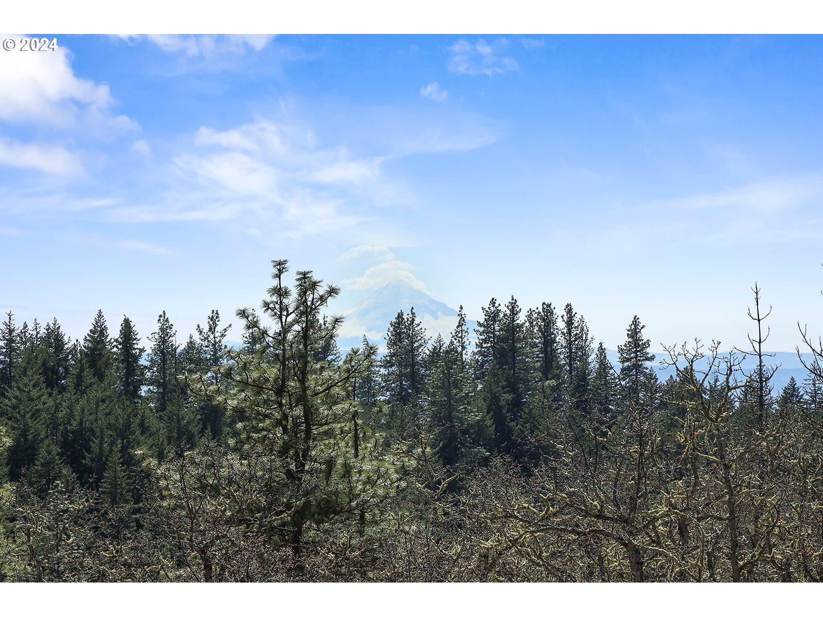 Secluded Way, Unit 3 Lyle, WA 98635 - Photo 8 of 16