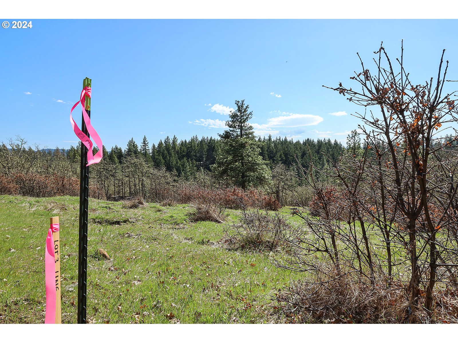 Secluded Way, Unit 3 Lyle, WA 98635 - Photo 9 of 16