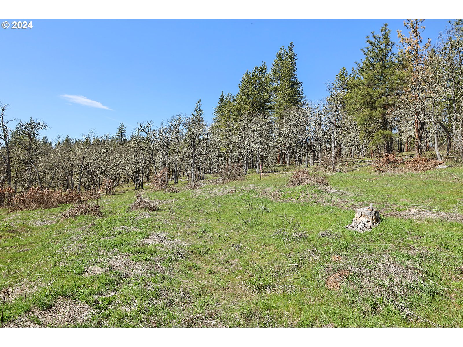 Secluded Way, Unit 3 Lyle, WA 98635 - Photo 10 of 16