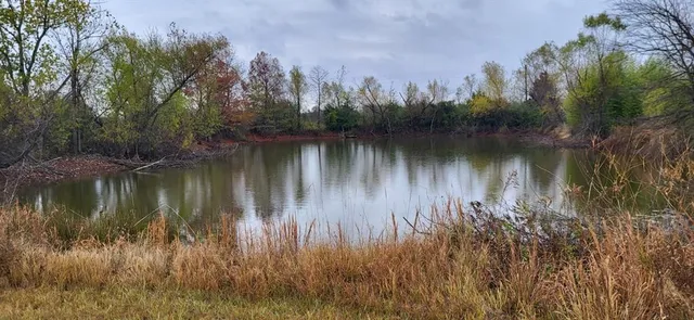 $175,000 | 2761 County Road 1116, Brashear, TX 75420