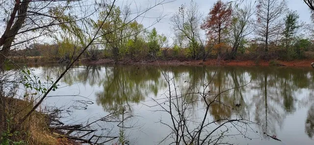 $175,000 | 2761 County Road 1116, Brashear, TX 75420