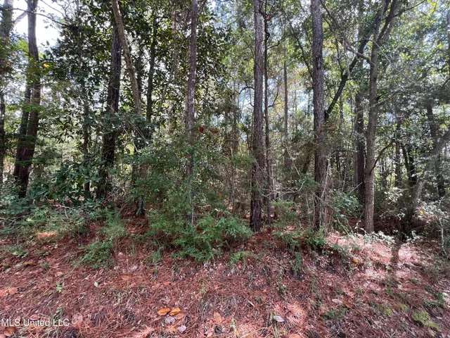 $11,500 | 0 Margaret Street, Ocean Springs, MS 39564