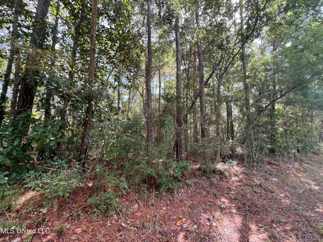 $11,500 | 0 Margaret Street, Ocean Springs, MS 39564