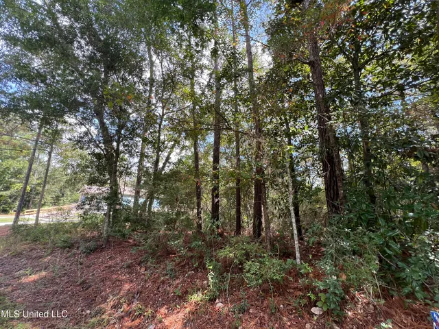 $11,500 | 0 Margaret Street, Ocean Springs, MS 39564