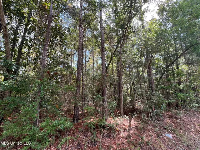 $11,500 | 0 Margaret Street, Ocean Springs, MS 39564