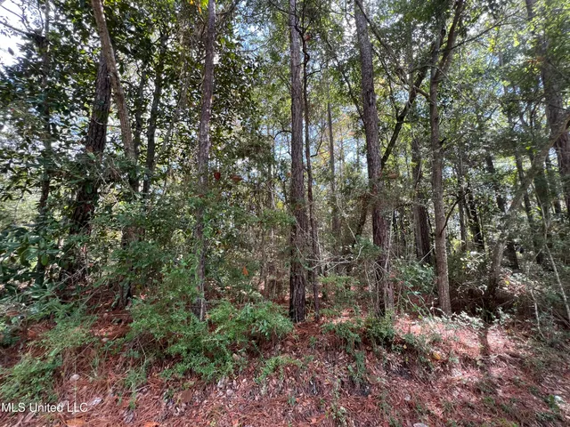 $11,500 | 0 Margaret Street, Ocean Springs, MS 39564