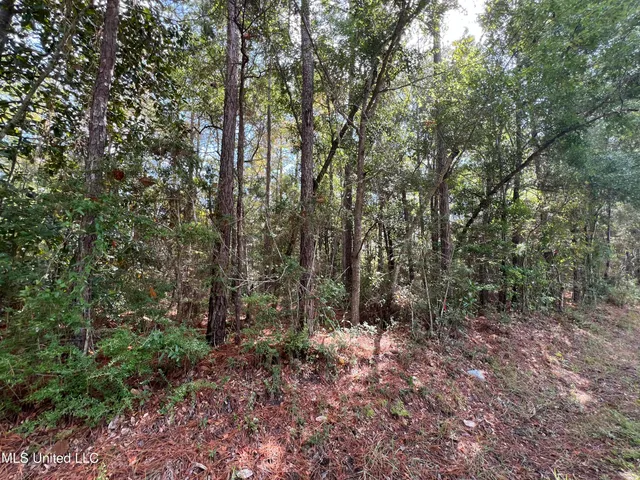 $11,500 | 0 Margaret Street, Ocean Springs, MS 39564