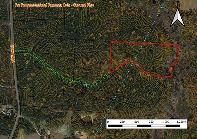 a view of a street with a tree