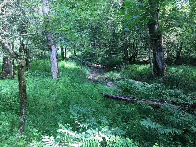 $120,000 | 0 Vick Road, Spring Hope, NC 27882