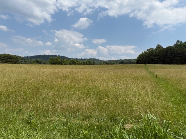 0 Horton Road Quebeck, TN 38579 - Photo 11 of 15 a view of an ocean and beach