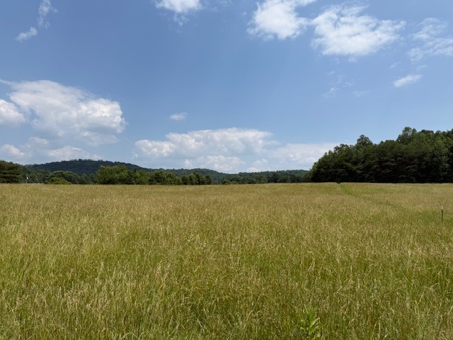 0 Horton Road Quebeck, TN 38579 - Photo 15 of 15 a view of lake and mountain