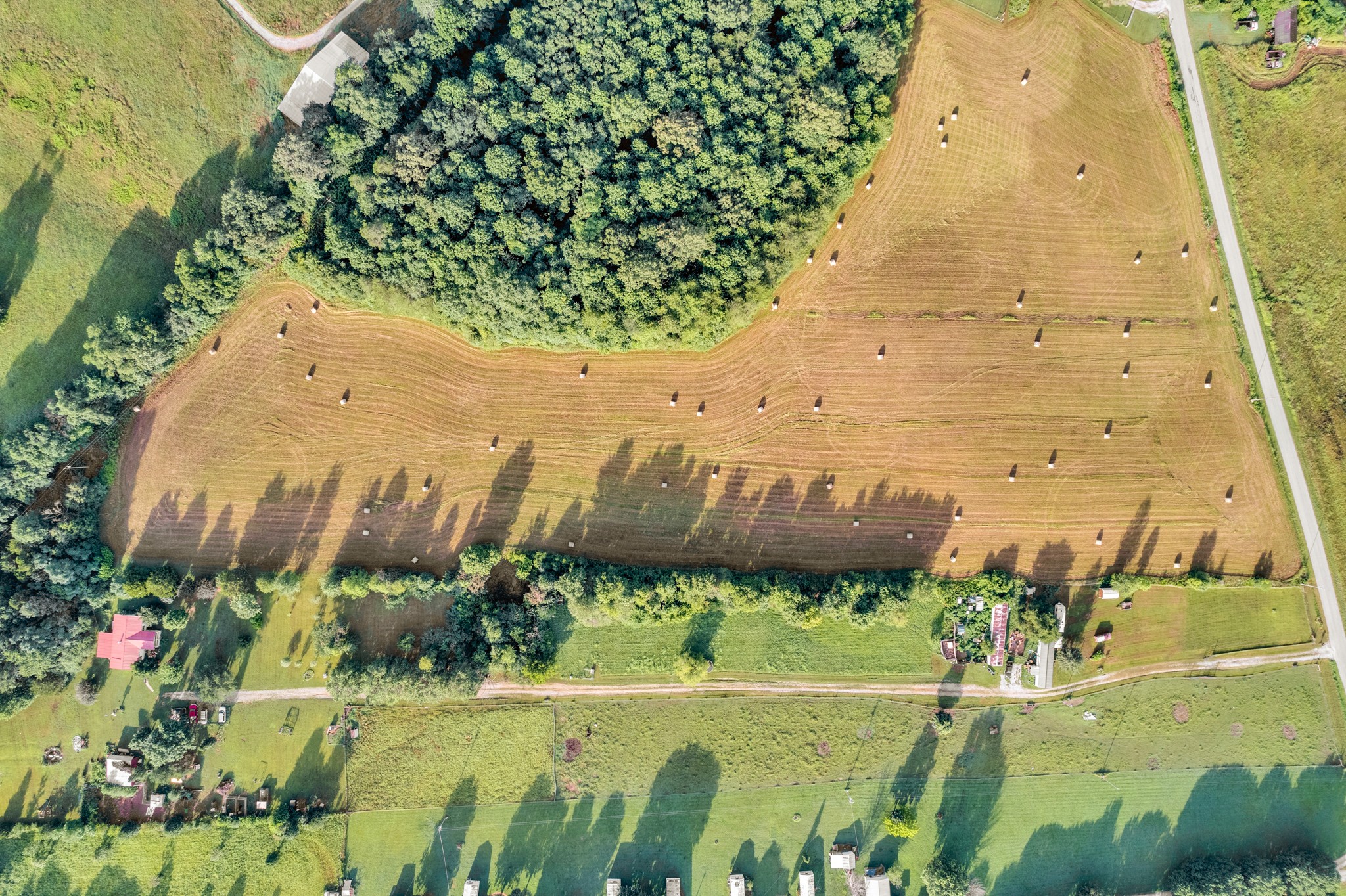 0 Horton Road Quebeck, TN 38579 - Photo 2 of 15 a view of a garden