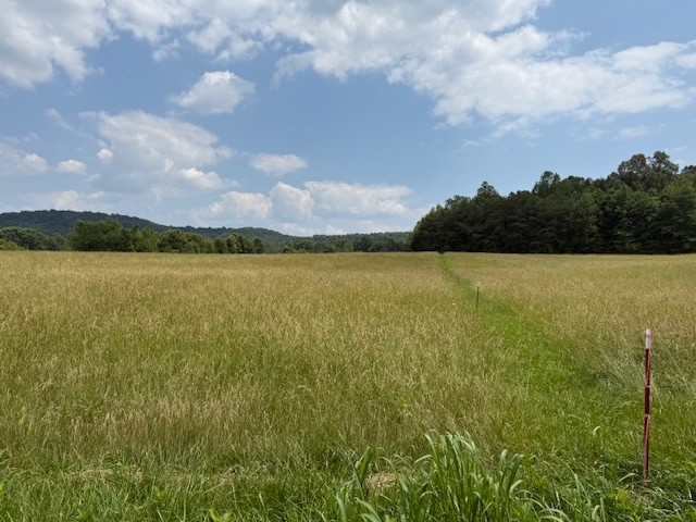 0 Horton Road Quebeck, TN 38579 - Photo 10 of 15 a view of city and lake