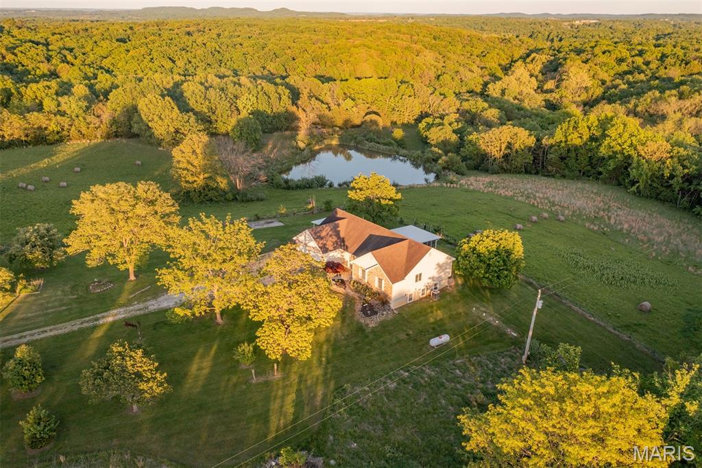 1010 Tickridge Road Silex, MO 63377 - Photo 7 of 20