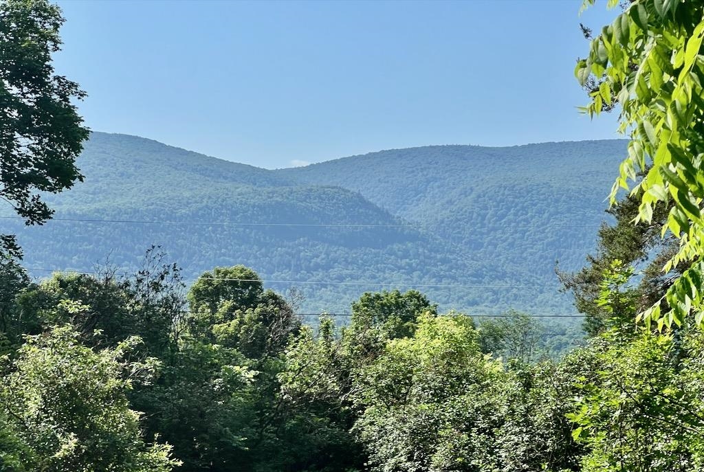 92 Coventry Lane Manchester, VT 05255 - Photo 3 of 60