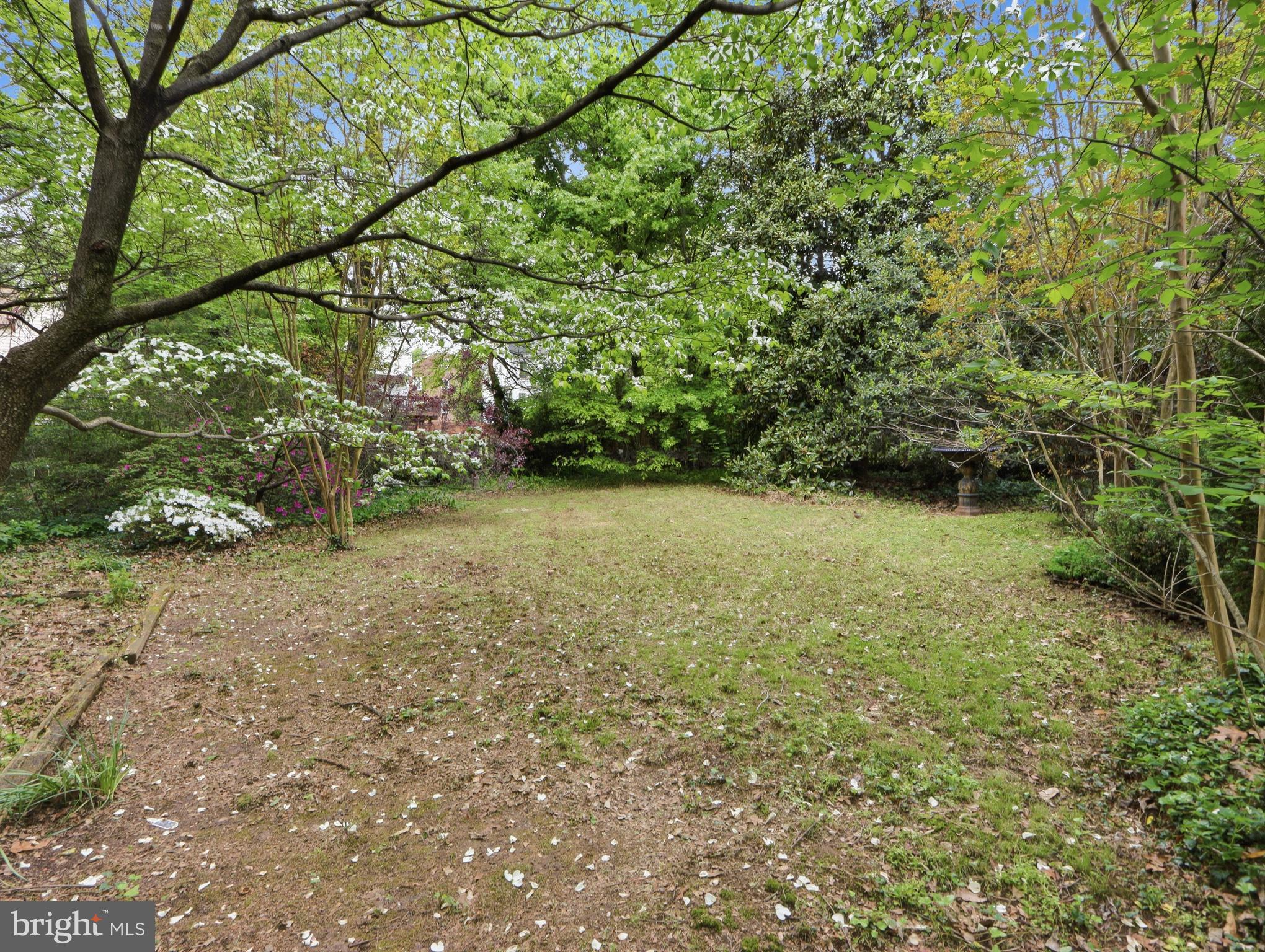 6008 Clearspring Road Baltimore, MD 21212 - Photo 55 of 63 Landscaped rear yard