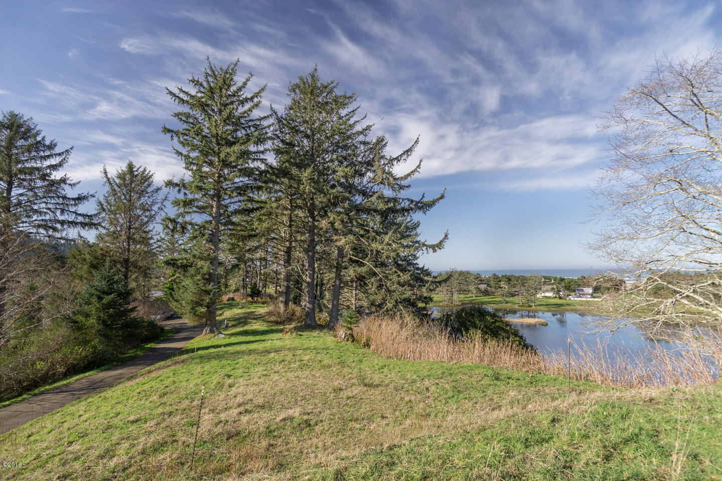 700 Edelman Way Neskowin, OR 97149 - Photo 5 of 5 Level Building Site