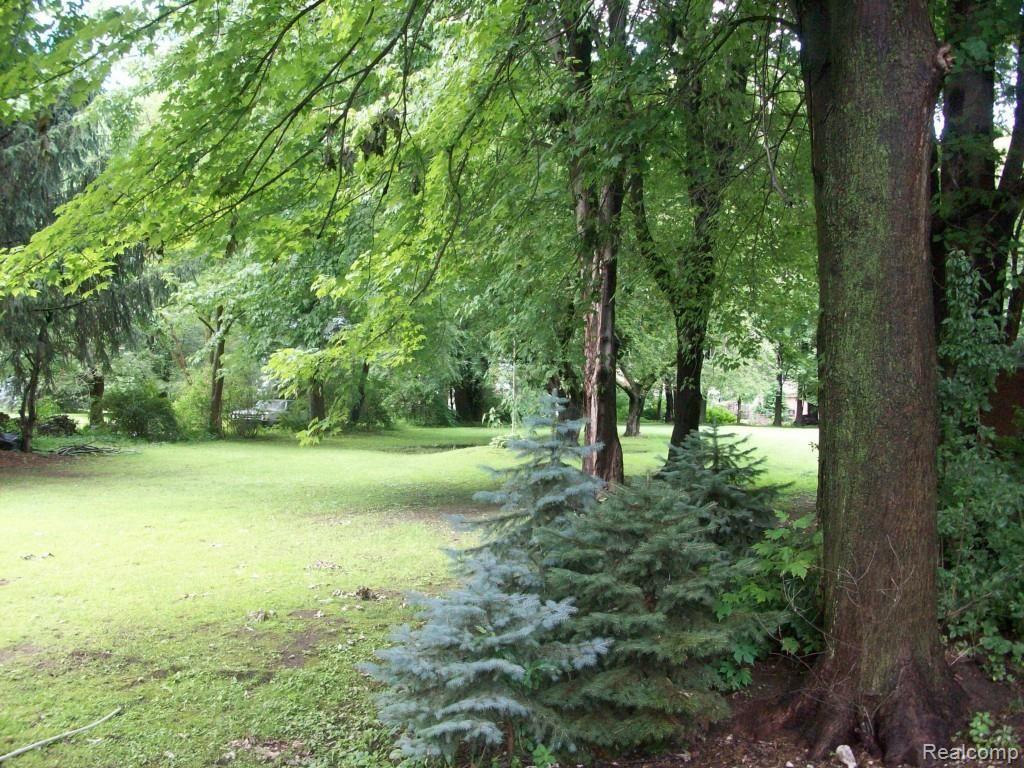 100_3907.jpg