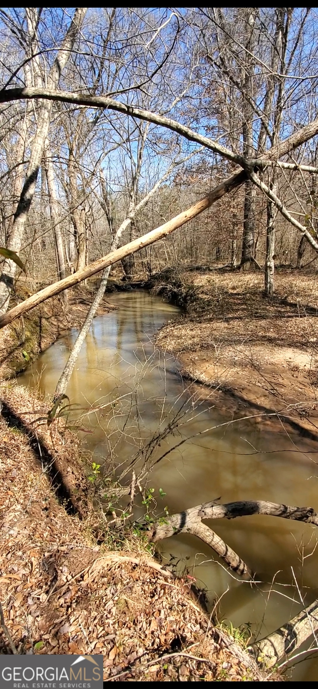 a view of swimming pool with yard