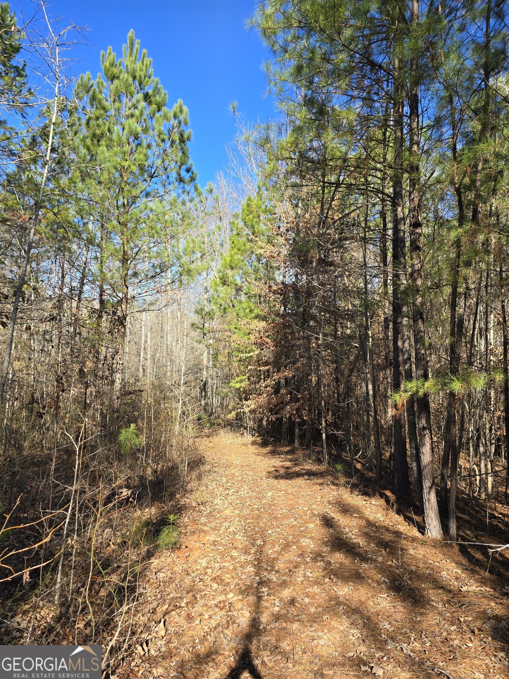 0 Duncan Circle Jackson, GA 30233 - Photo 3 of 5 a view of outdoor space with trees