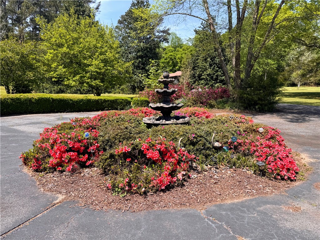 208 Knoxwood Court Anderson, SC 29621 - Photo 35 of 38 This meticulously landscaped yard boasts vibrant flora and a charming water feature.
