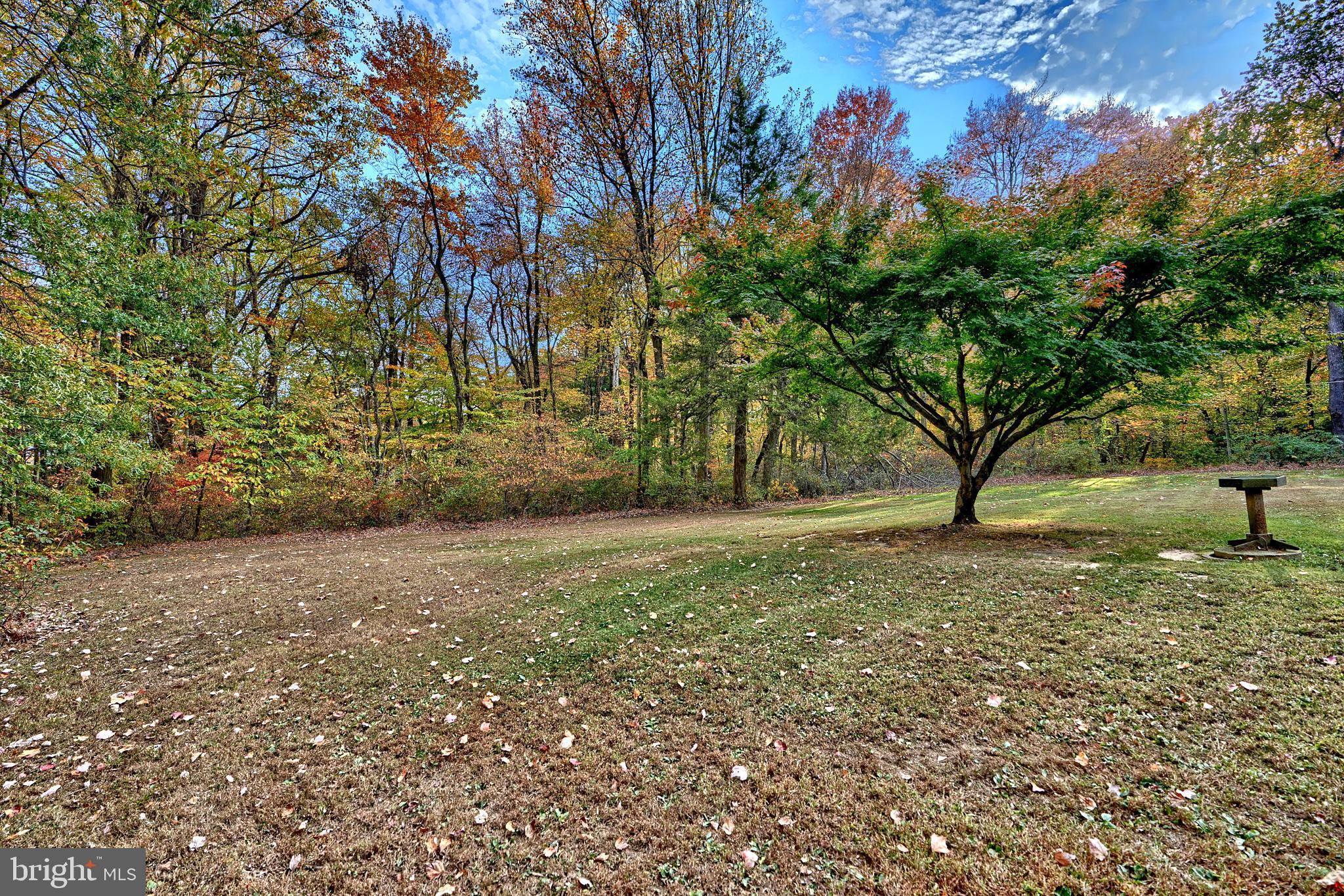 2288 Oldfield Point Road Elkton, MD 21921 - Photo 12 of 45 Gallery Image 12