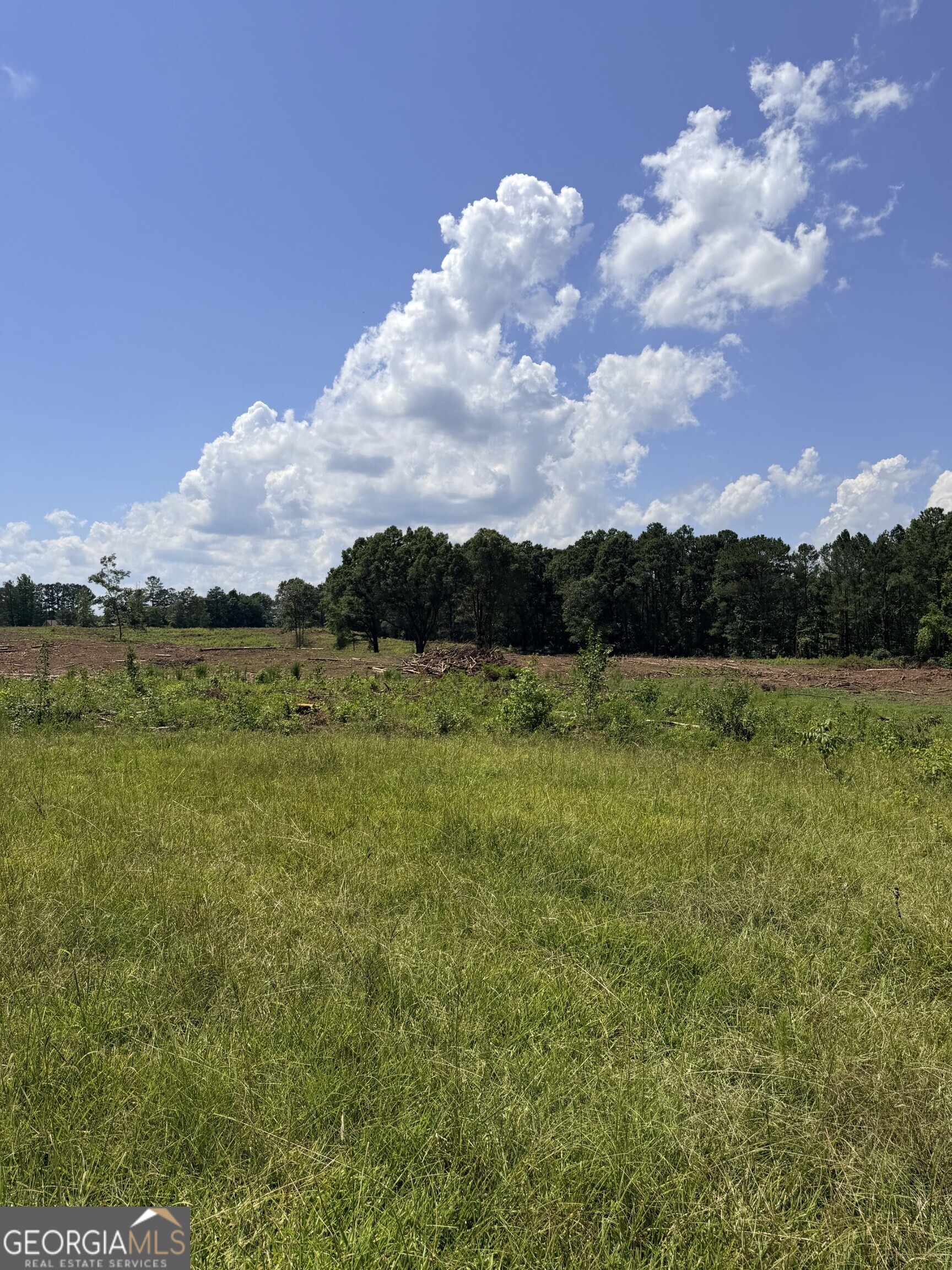 2135 Moss Road Gay, GA 30218 - Photo 5 of 8