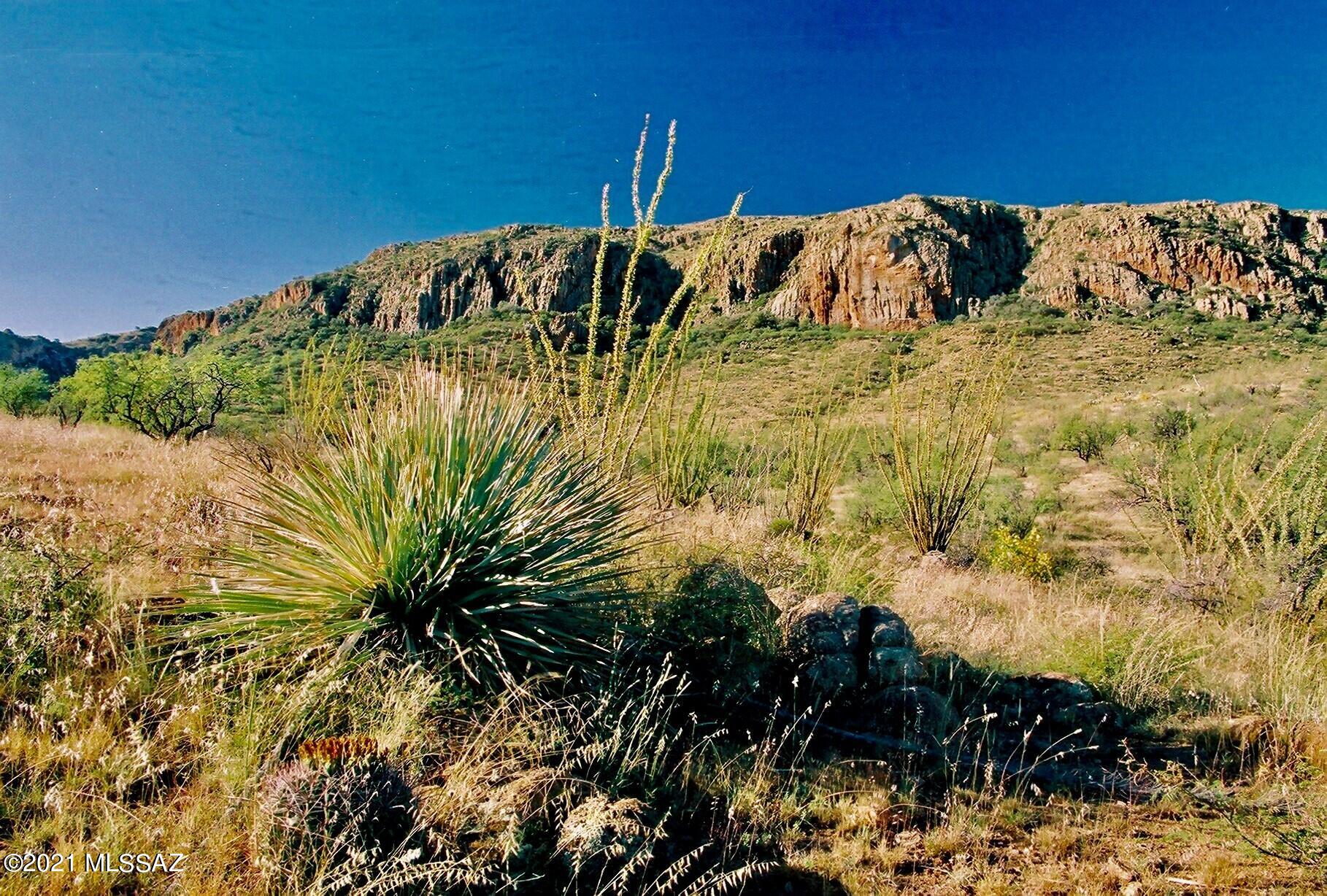 0 Tejano Springs Road, Unit 80 Rio Rico, AZ 85648 - Photo 21 of 23