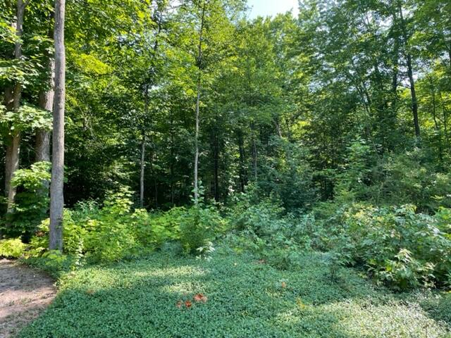 2492 Van Tyle Road Gaylord, MI 49735 - Photo 25 of 31 Gallery Image 25