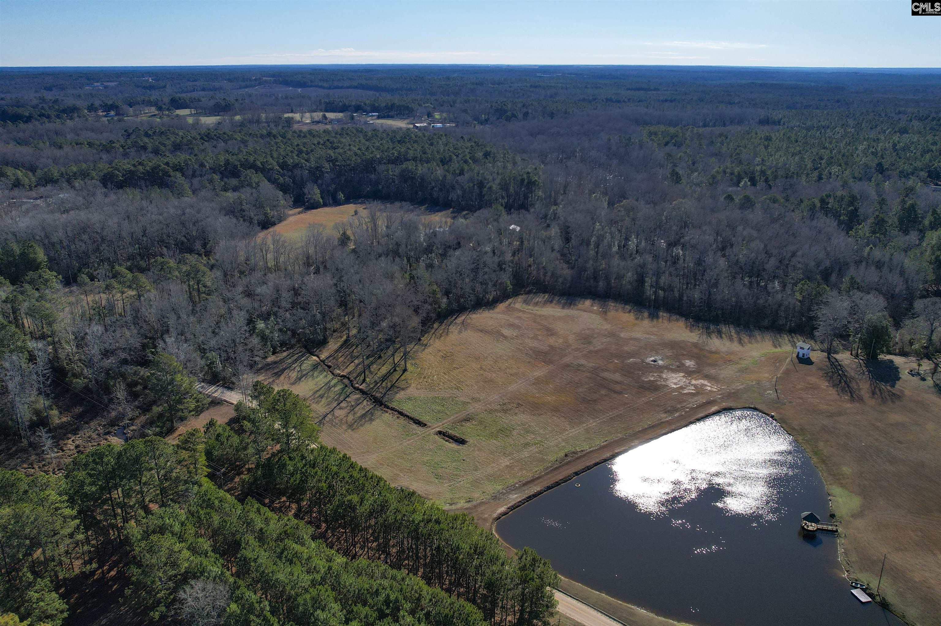 1717 Dixired Road Leesville, SC 29070 - Photo 4 of 15