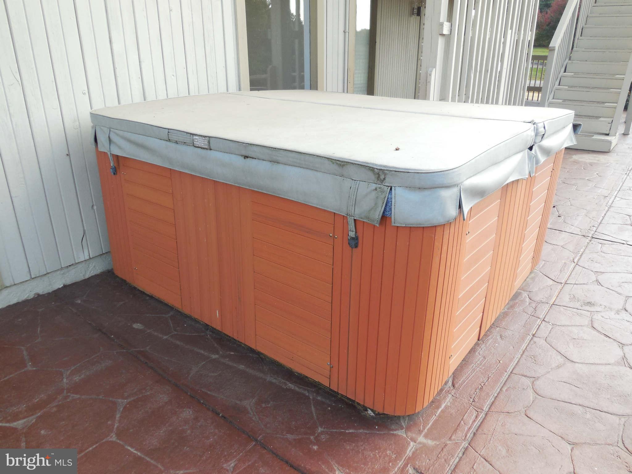 4415 Linthicum Road Dayton, MD 21036 - Photo 13 of 26 Hot Tub