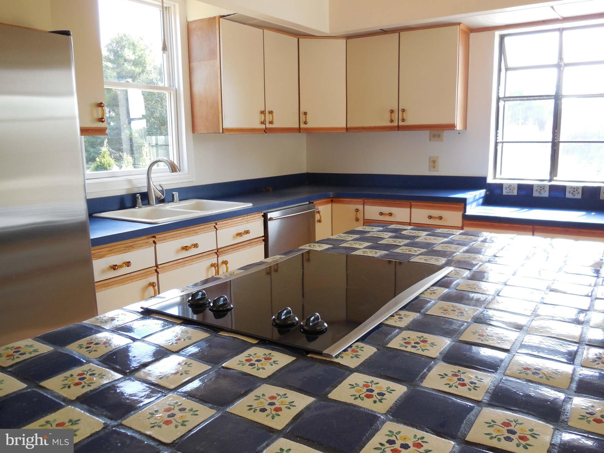 4415 Linthicum Road Dayton, MD 21036 - Photo 14 of 26 Kitchen counter top